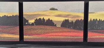 Listing 2 of 3 for Peter Latham “Late Harvest”