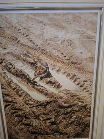 Listing 2 of 2 for Raymond ching HARD TIME SPARROWS