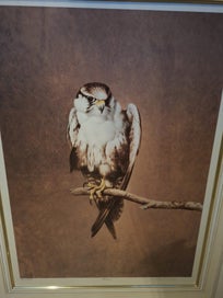 Listing 2 of 2 for Raymond ching FALCON