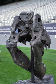 Listing 5 of 20 for Life-Size T-Rex Skull Sculpture — Bespoke One-Off Statement Artwork