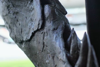 Listing 10 of 20 for Life-Size T-Rex Skull Sculpture — Bespoke One-Off Statement Artwork