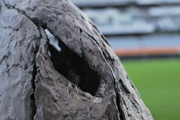 Listing 8 of 20 for Life-Size T-Rex Skull Sculpture — Bespoke One-Off Statement Artwork