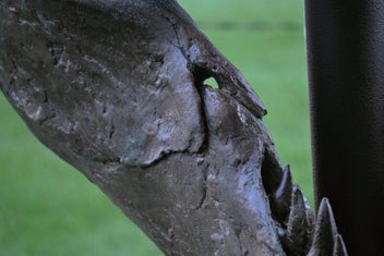 Listing 15 of 20 for Life-Size T-Rex Skull Sculpture — Bespoke One-Off Statement Artwork