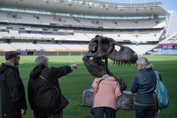 Listing 19 of 20 for Life-Size T-Rex Skull Sculpture — Bespoke One-Off Statement Artwork