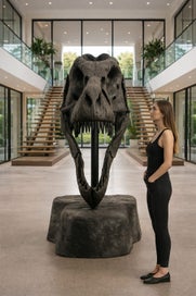 Listing 20 of 20 for Life-Size T-Rex Skull Sculpture — Bespoke One-Off Statement Artwork