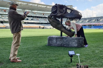 Listing 18 of 20 for Life-Size T-Rex Skull Sculpture — Bespoke One-Off Statement Artwork