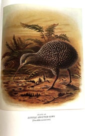 Listing 10 of 16 for BULLER'S BIRDS OF NZ" by SIR WALTER LAWRY BULLER (Rev. Edition 1967) & SLIPCASE