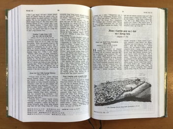 Listing 9 of 14 for Buk Baibel- The Bible in Tok Pisin (Papua New Guinea)