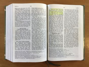 Listing 10 of 14 for Buk Baibel- The Bible in Tok Pisin (Papua New Guinea)