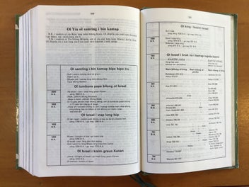 Listing 11 of 14 for Buk Baibel- The Bible in Tok Pisin (Papua New Guinea)