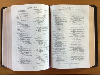 Listing 4 of 17 for NRSV plus Apocrypha plus The Book of Common Prayer