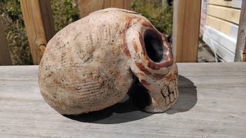 Listing 5 of 6 for NZ art Ceramic Skull