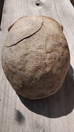 Listing 6 of 6 for NZ art Ceramic Skull