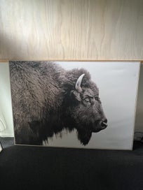 Listing 7 of 12 for Large framed Animal prints