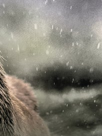 Listing 4 of 12 for Large framed Animal prints