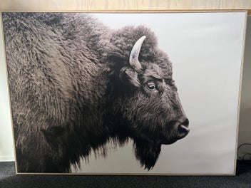 Listing 11 of 12 for Large framed Animal prints