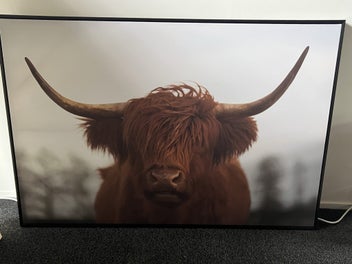 Listing 10 of 12 for Large framed Animal prints