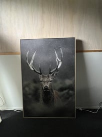 Listing 9 of 12 for Large framed Animal prints
