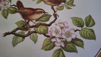 Listing 9 of 13 for <<< SPODE ENGLAND " GARDEN BIRDS - WREN " FINE BONE CHINA PLATE >>>