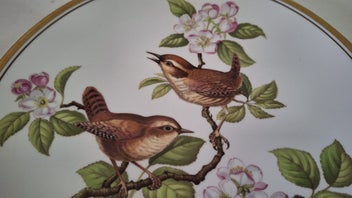 Listing 3 of 13 for <<< SPODE ENGLAND " GARDEN BIRDS - WREN " FINE BONE CHINA PLATE >>>