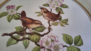 Listing 11 of 13 for <<< SPODE ENGLAND " GARDEN BIRDS - WREN " FINE BONE CHINA PLATE >>>