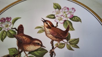 Listing 10 of 13 for <<< SPODE ENGLAND " GARDEN BIRDS - WREN " FINE BONE CHINA PLATE >>>