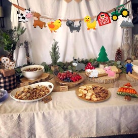 Listing 4 of 7 for 12Pcs Jungle Animals Sewing Kit DIY Animals Crafts Kit Felt Zoo Animal Craf