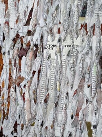 Listing 4 of 6 for Cultivated Desire