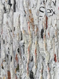 Listing 4 of 6 for Intimate herds: the breeding of desire and conformity