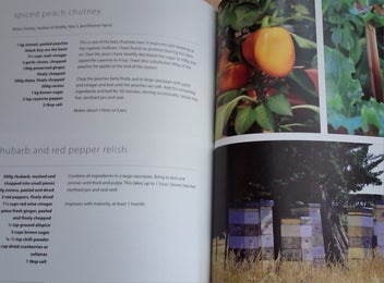 Listing 6 of 19 for OVER THE FENCE & UNDER THE OAK TREE DUNSANDEL SCHOOL +WAIHI SCHOOL CKBKS