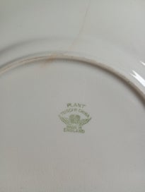 Listing 5 of 10 for Plant Tuscan China Pink Flower Plates