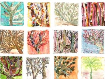 Listing 2 of 3 for Reo Rakau: the Song of the Trees