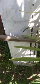 Listing 5 of 5 for Mable slabs - old steps