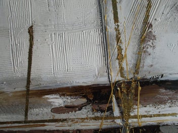 Listing 6 of 9 for Abstract oil on canvas painting