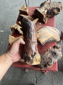 Listing 7 of 11 for One Lot of Solid Ancient Swamp Kauri Offcuts