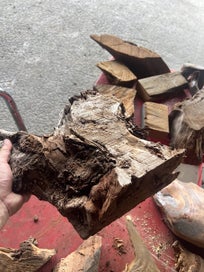 Listing 4 of 11 for One Lot of Solid Ancient Swamp Kauri Offcuts