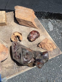 Listing 7 of 11 for 15.7 kg One Lot of Solid Ancient Swamp Kauri Offcuts