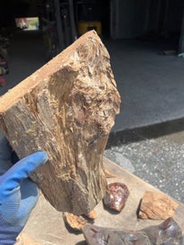 Listing 8 of 11 for 15.7 kg One Lot of Solid Ancient Swamp Kauri Offcuts