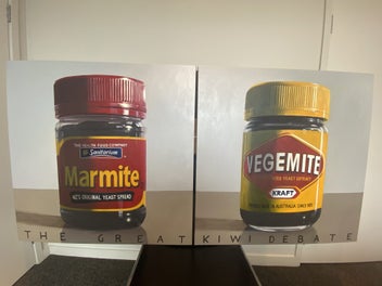 Listing 3 of 10 for The Great Kiwi Debate - Marmite v Vegemite (Original oil on canvas)