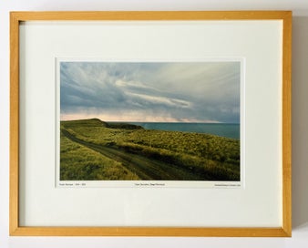 Listing 2 of 2 for ROBIN MORRISON Cape Saunders Otago Peninsula