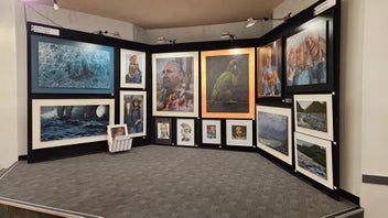 Listing 9 of 20 for Look @ Me, Looking @ You... by Fine Artist Gwyn Hughes Giclee Print