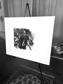 Listing 5 of 6 for Cai Guo-Qiang