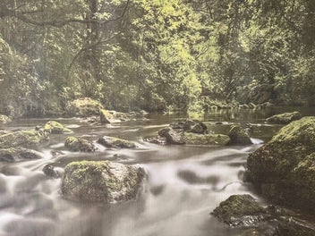 Listing 2 of 6 for Large photographic wall hanging (fabric)