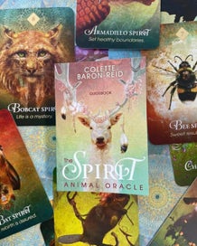 Listing 2 of 16 for The Spirit Animal Oracle Cards by Colette Baron-Reid