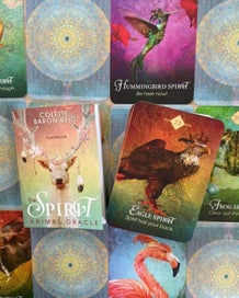 Listing 8 of 16 for The Spirit Animal Oracle Cards by Colette Baron-Reid