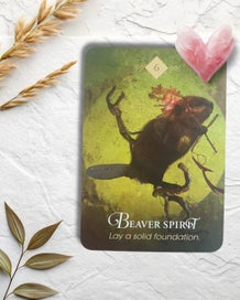 Listing 9 of 16 for The Spirit Animal Oracle Cards by Colette Baron-Reid