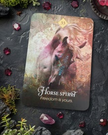 Listing 10 of 16 for The Spirit Animal Oracle Cards by Colette Baron-Reid