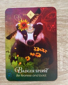Listing 14 of 16 for The Spirit Animal Oracle Cards by Colette Baron-Reid