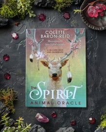 Listing 15 of 16 for The Spirit Animal Oracle Cards by Colette Baron-Reid