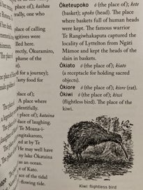 Listing 6 of 8 for Maori Place Names Their Meanings Origins Their Meanings and Origins 4th Edition